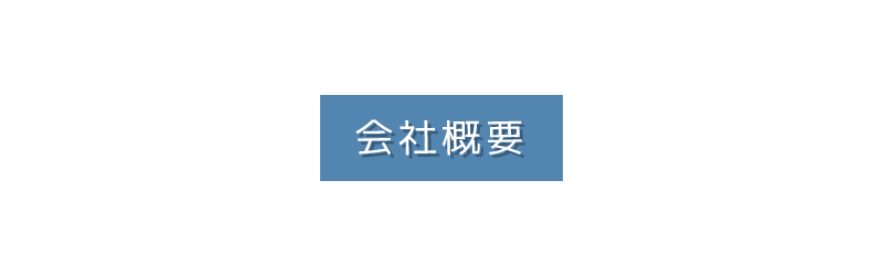 エフイージャパン株式会社の会社概要