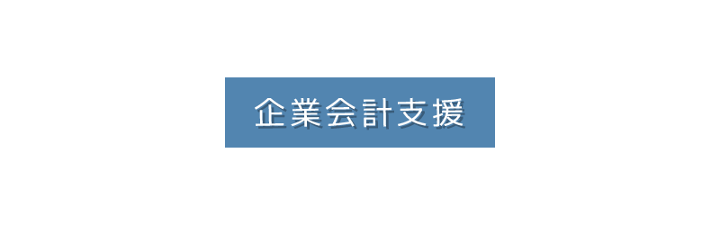 エフイージャパン株式会社の企業会計支援